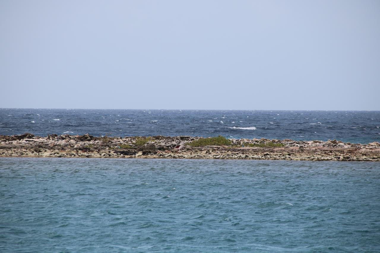 Coral Reef Beach Savaneta Buitenkant foto