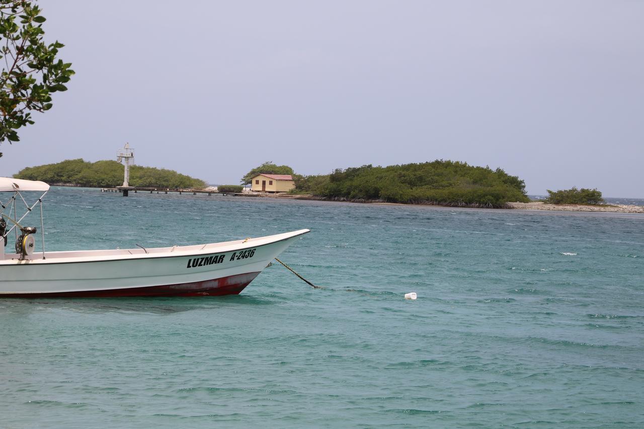 Coral Reef Beach Savaneta Buitenkant foto